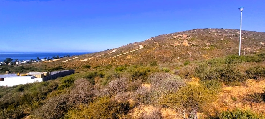 0 Bedroom Property for Sale in Steenbergs Cove Western Cape